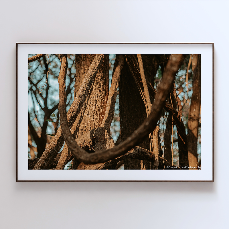 THE ONE - LINES & SHAPES - "The Twist" - LIMITED EDITION 5 of 5