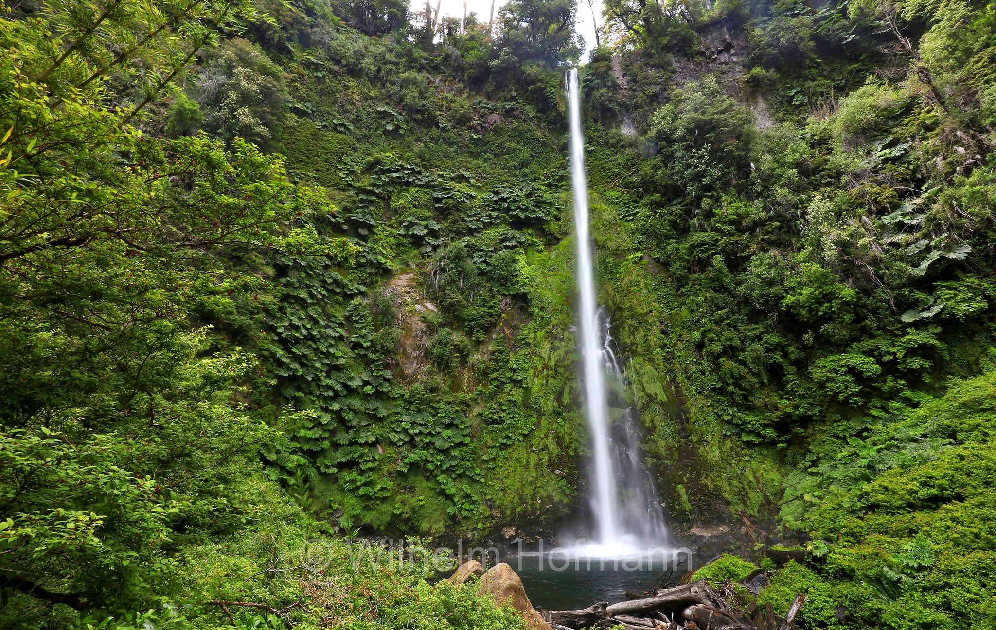 Salto la China, Salto El Léon, Araucanía Region, Araucanía, Región de La Araucanía, Regione dell'Araucanía, Chile, Cile