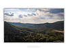 COLLECTION - GIANTS OF THE LAND HORIZONTAL - "Where Light Lands" - LIMITED EDITION 10 of 10
