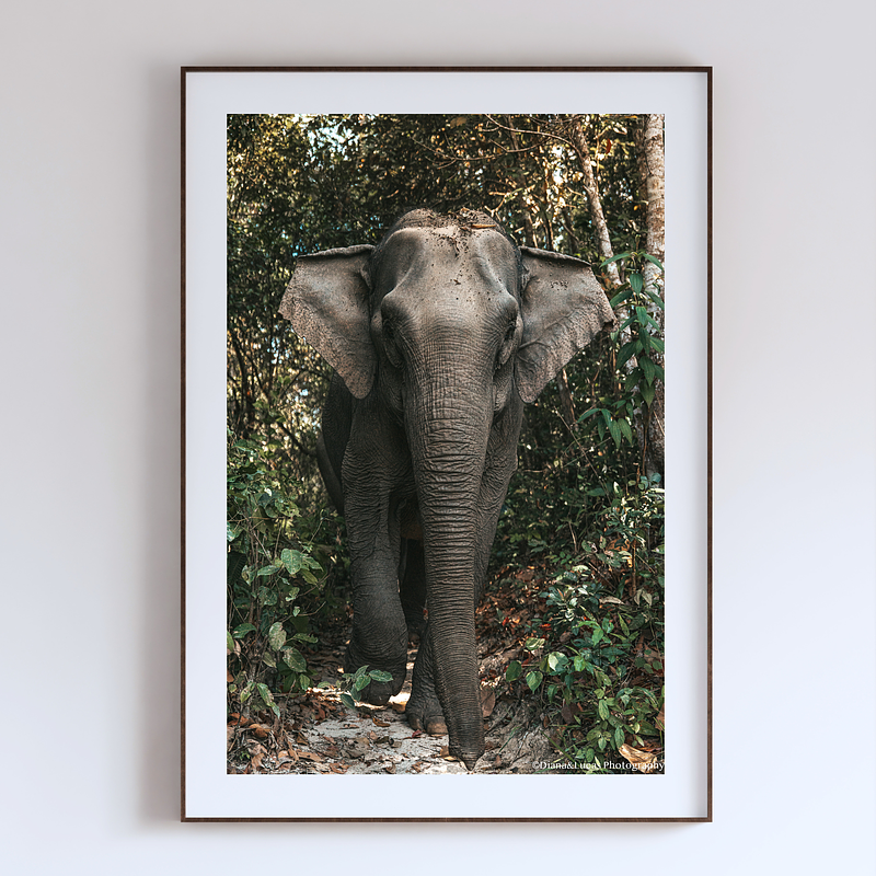 COLLECTION - GIANTS OF THE LAND VERTICAL - "Through the Green" - LIMITED EDITION 10 of 10