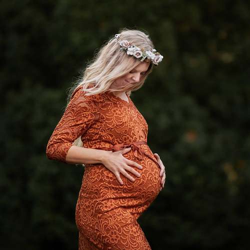 Gravid