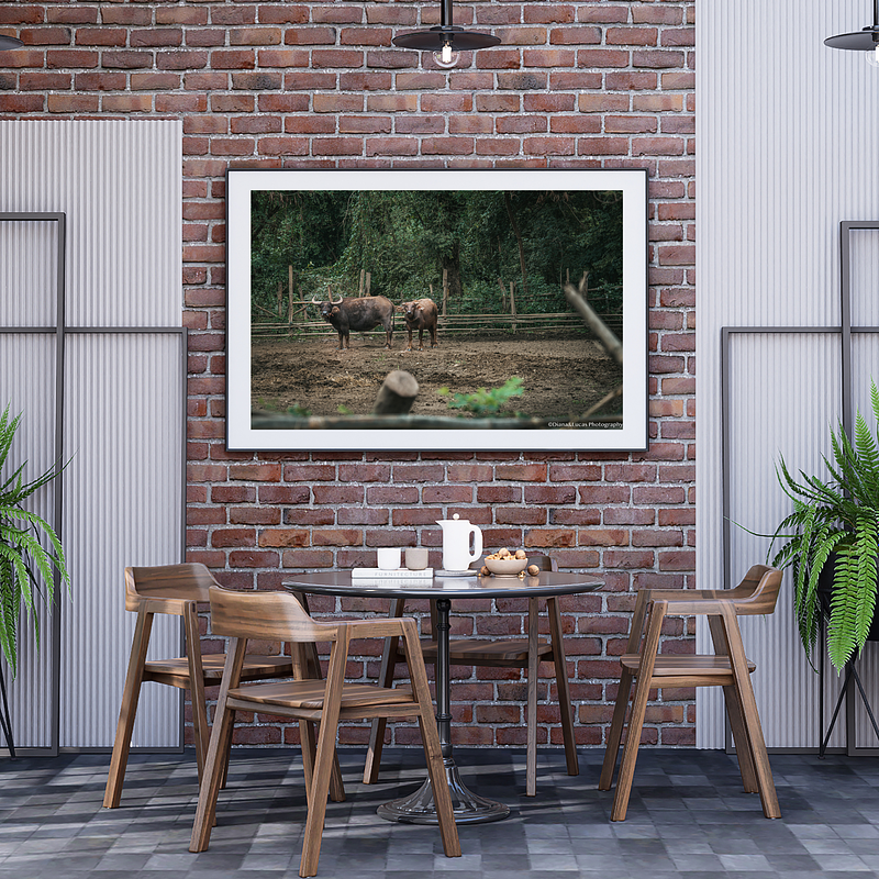 COLLECTION - GIANTS OF THE LAND HORIZONTAL - "Mutual Interest" - LIMITED EDITION 10 of 10