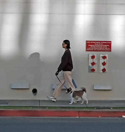 Wallking Her Dog