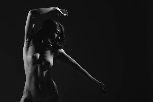 Dynamic Silhouette
