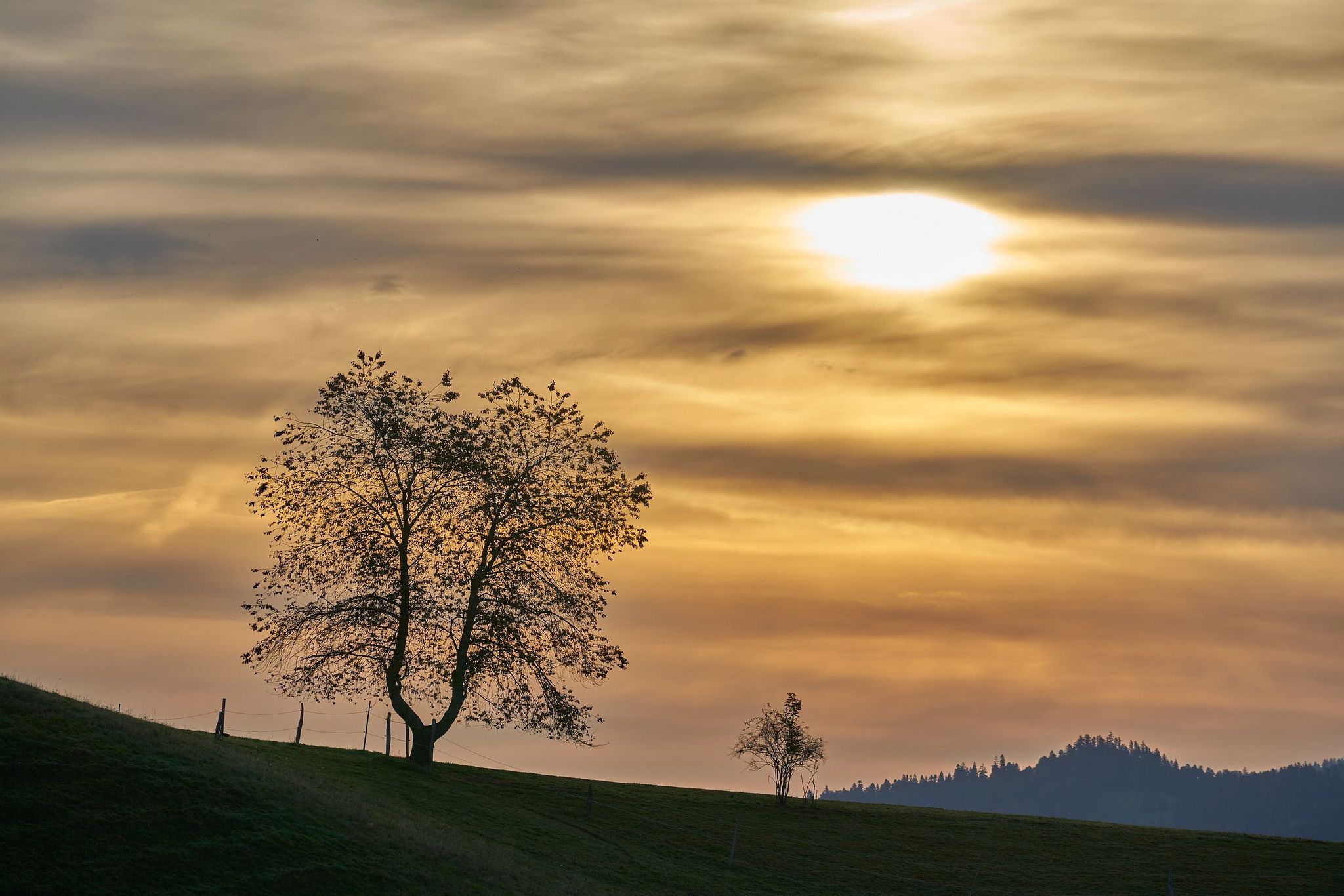 Morgensonne über der Lueg