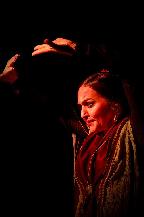 Portrait artistique d'une danseuse de flamenco