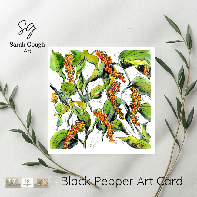 Black Pepper | Botanical Art Card | Watercolour Original Illustration | with Envelope