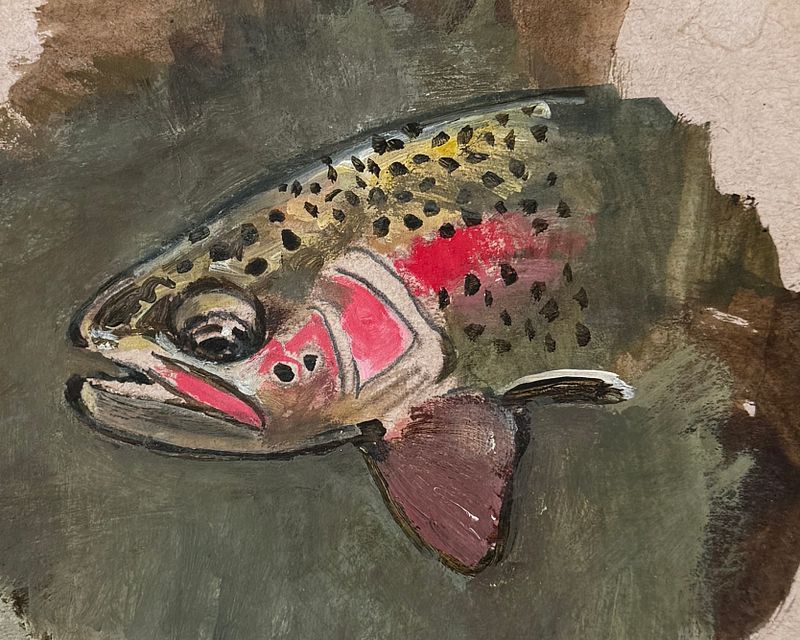 Swirls of Color- Rainbow Trout