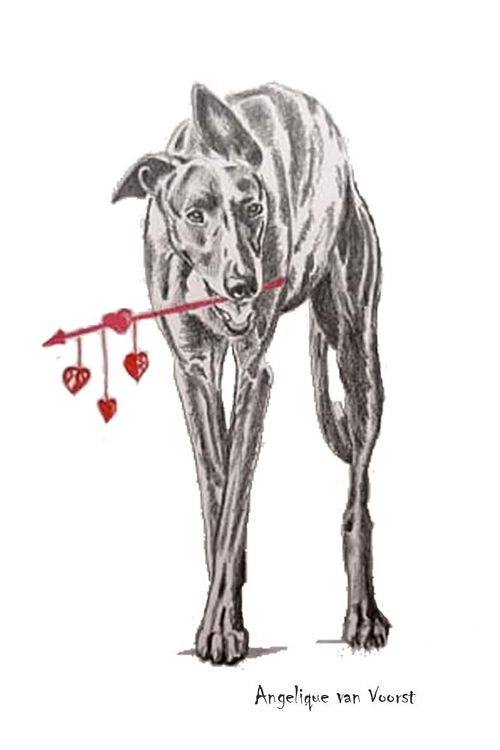 Pencil drawing of a brindle Galgo carrying a stick with hearts