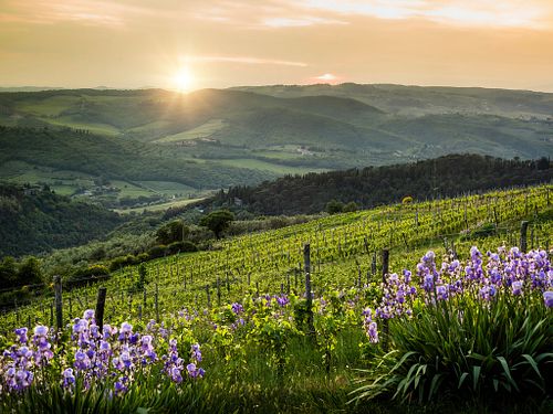 Italy