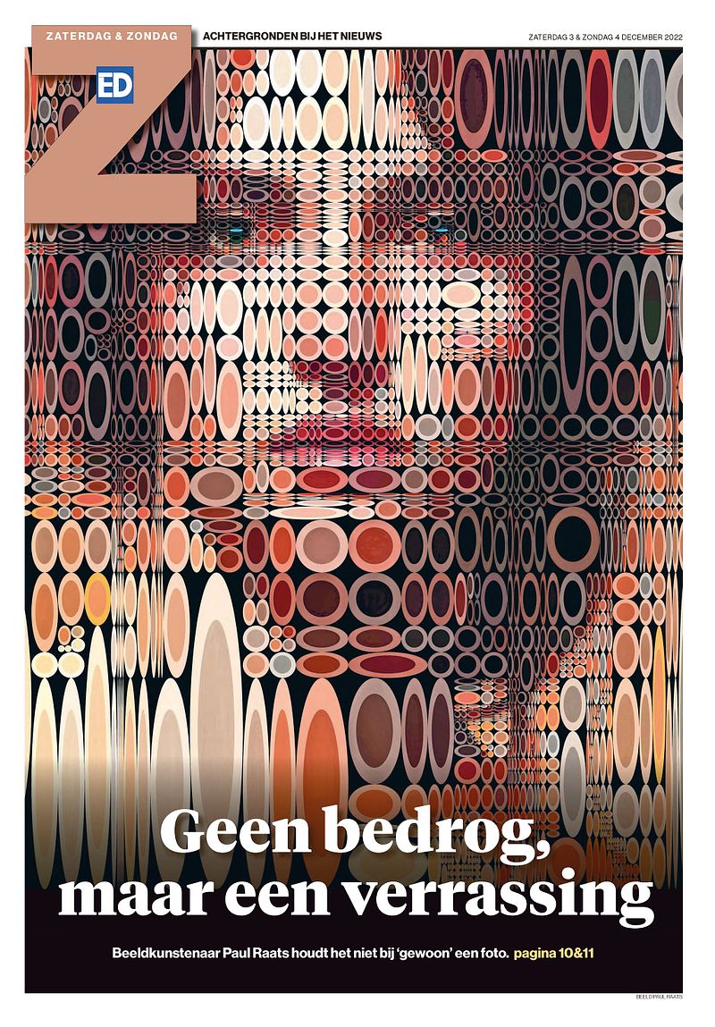 Interview DPG Media Paul Raats Beeldkunstenaar