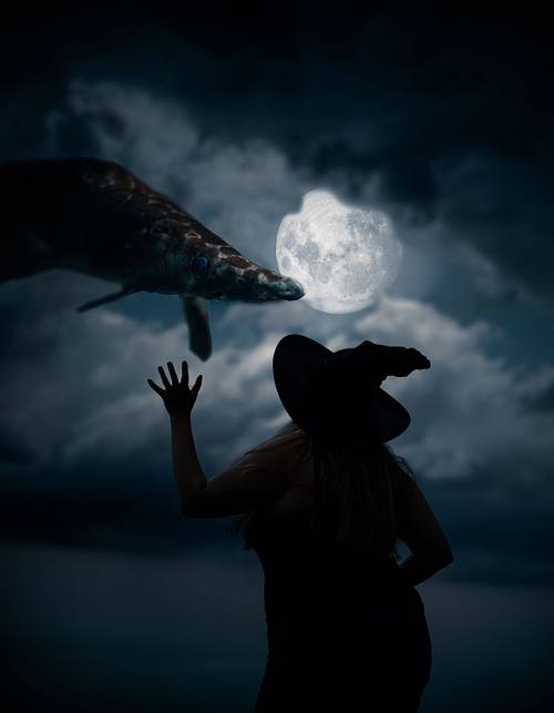 Sturgeon Moon