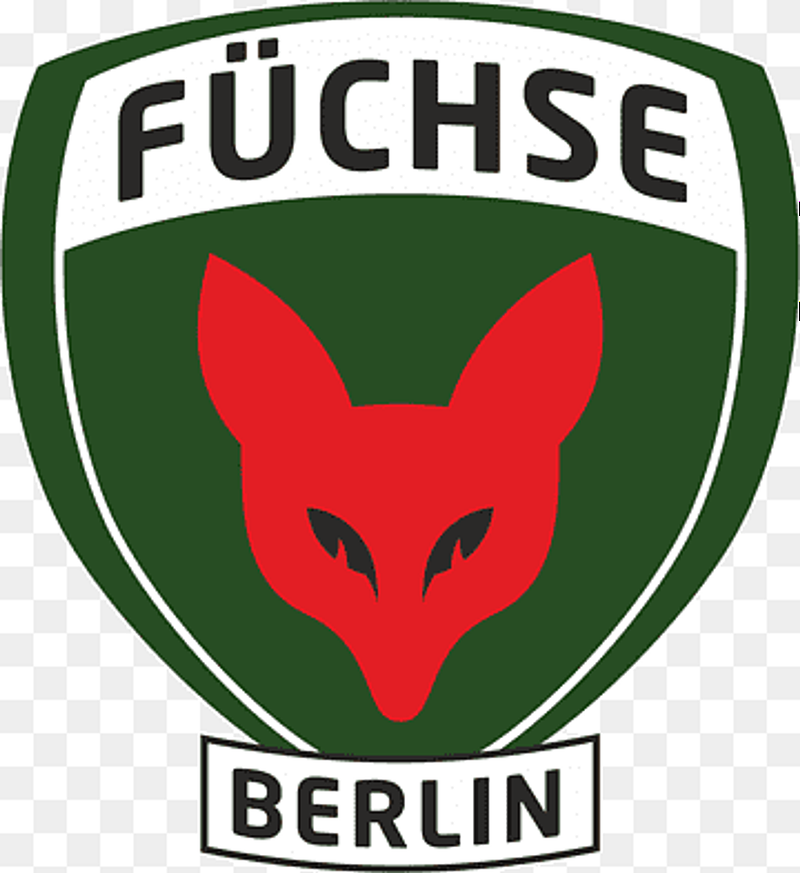 Band 1: WO IST FUCHSI? - Das offizielle Kinderbuch der Füchse Berlin