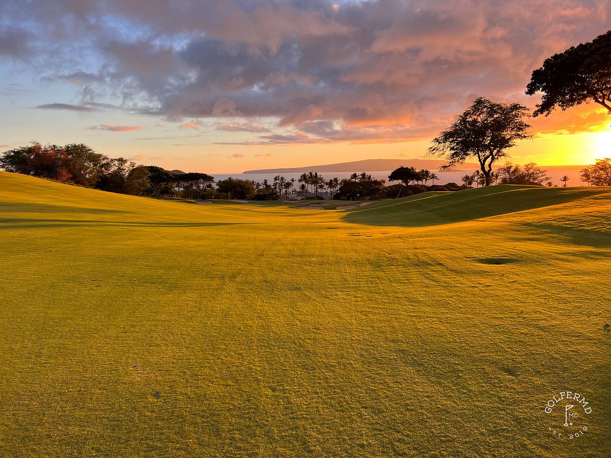 #38 Wailea Emerald