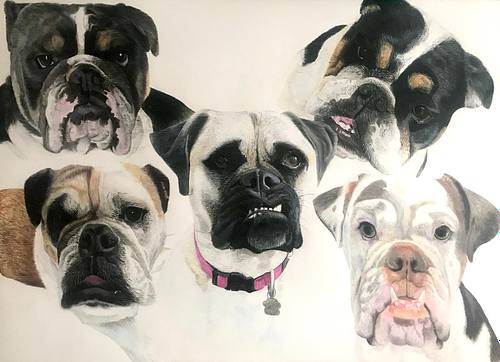 Custom Size Portrait