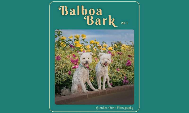 Balboa Bark - 8.5 x 11 Hardcover Coffee Table Book