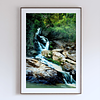 THE ONE - WILDLIFE & NATURE - "Over the Rocks" - LIMITED EDITION 5 of 5