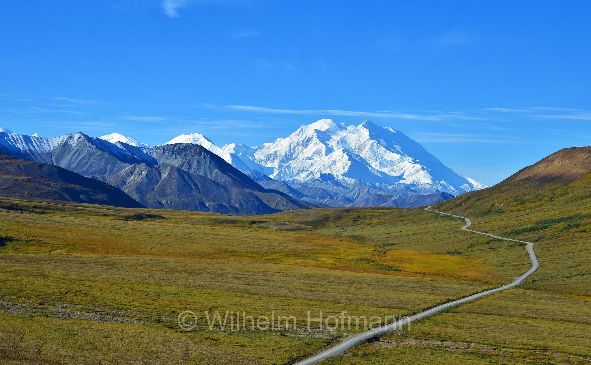 Denali, Mount McKinley, Stony Hill Overlook, Denali National Park, Denali National Park and Preserve, Denali-Nationalpark, Parco nazionale del Denali, Alaska, USA