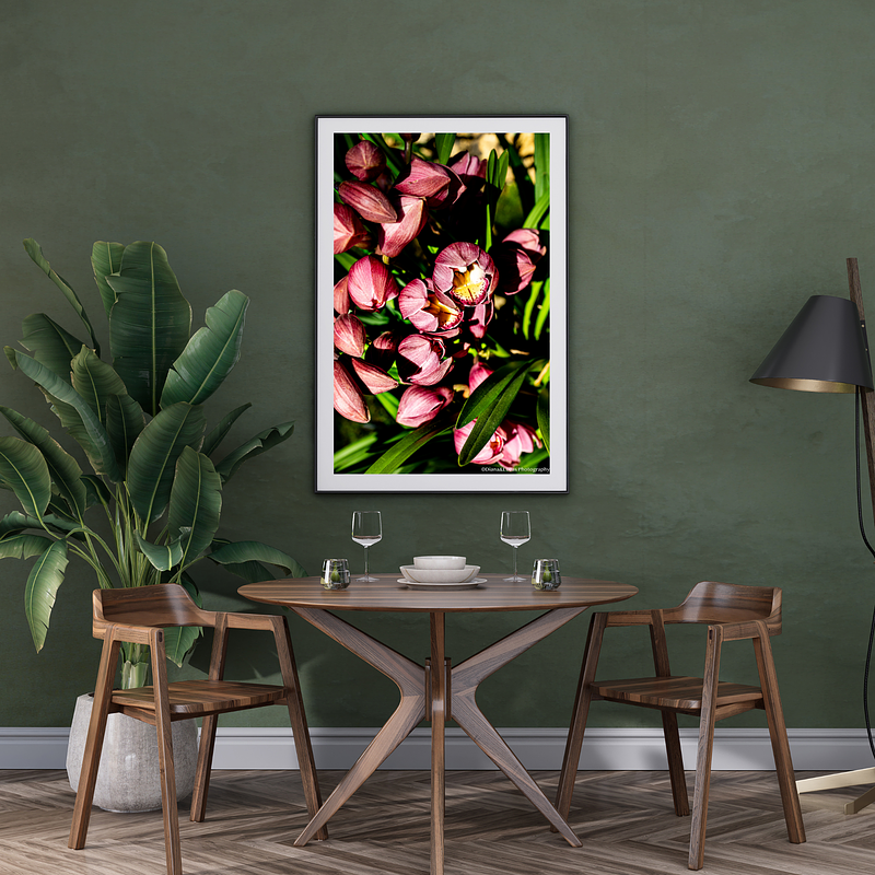 THE ONE - WILDLIFE & NATURE - "Crowded Beauty" - LIMITED EDITION 5 of 5