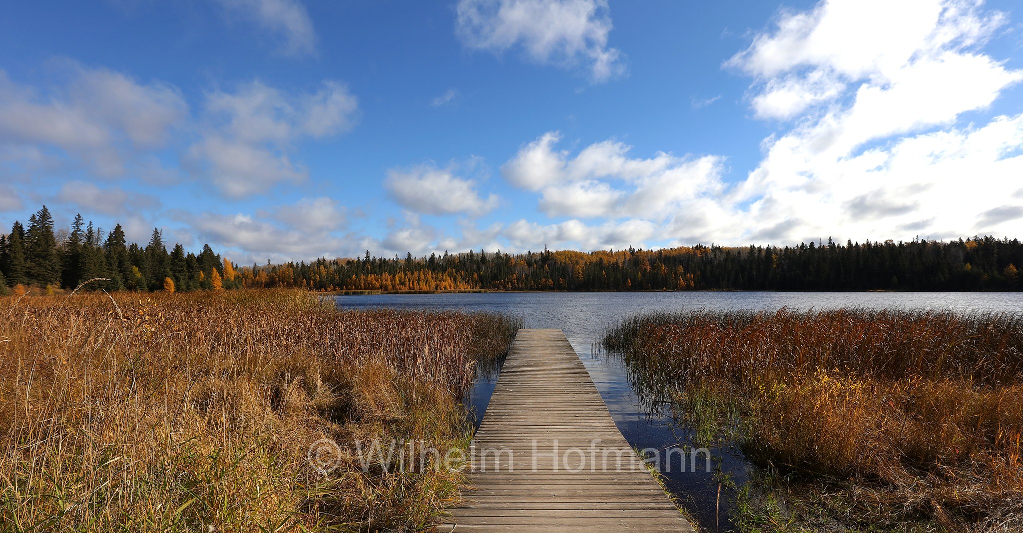 Grayling Lake, Riding Mountain National Park, Riding-Mountain-Nationalpark, Parco nazionale di Riding Mountain, Manitoba, Canada, Kanada