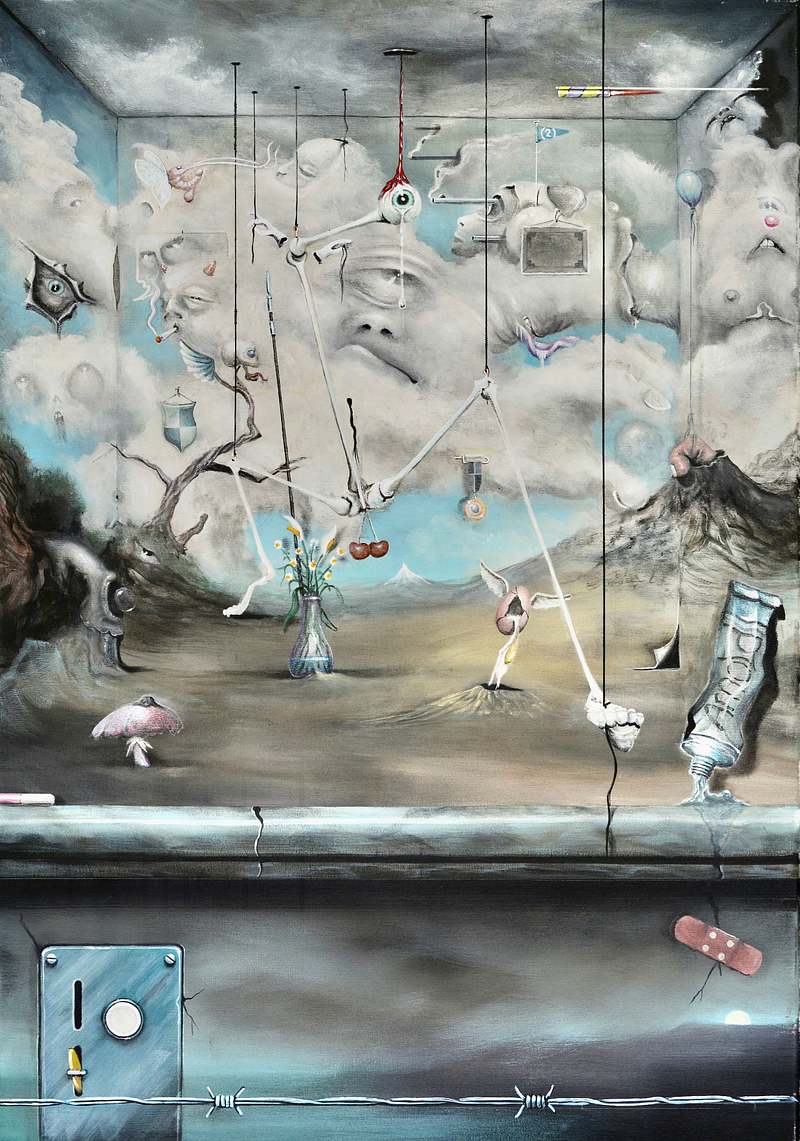 Arnold Janssen - The great step forward