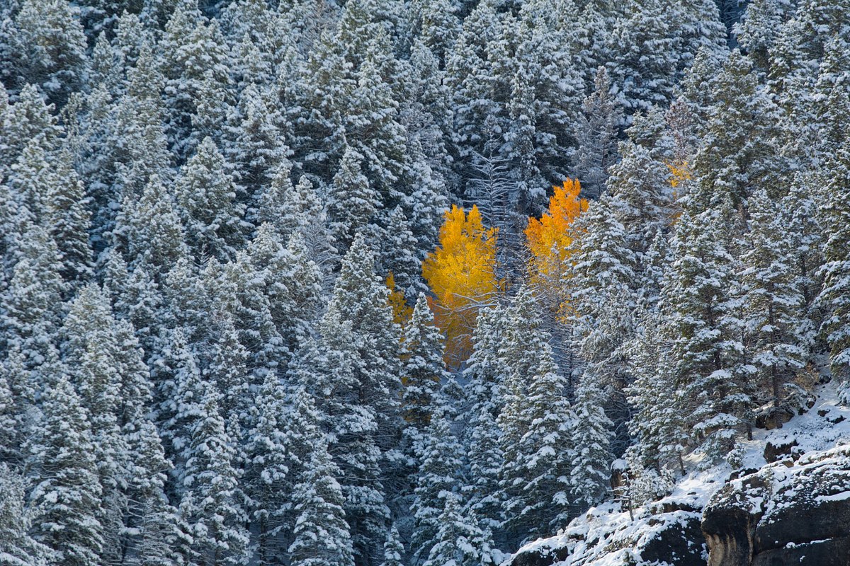 Hidden-Fall