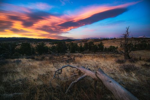 Skies, sunrise, sunset, dessert, Cotopaxi, Rocky Mountains, Colorado, dawn, dusk, vast, travel, nature, landscape, trees, logs, colors