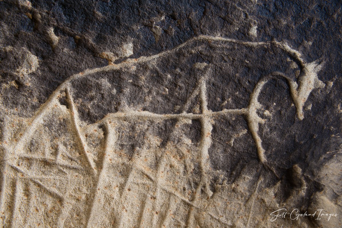 Cave-Horse