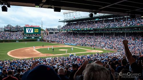 Cubs Win