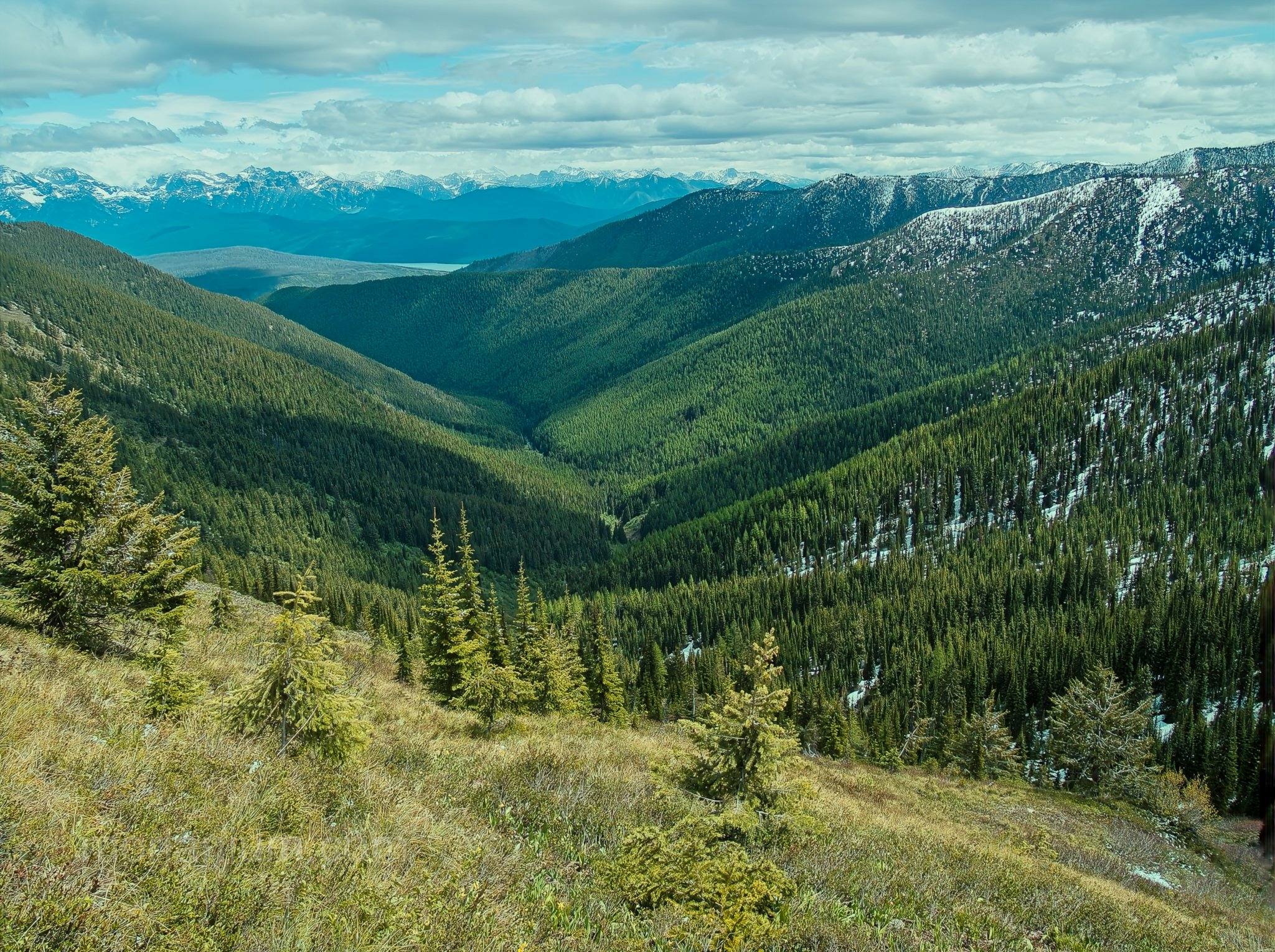 Montana