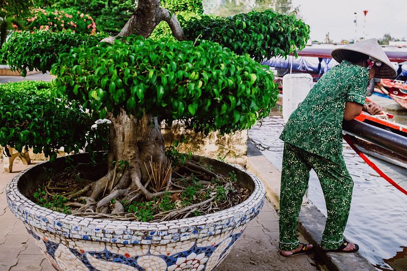 How to Use Color in Photography Effectively