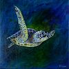 The Turtle's Flight / El vuelo de la tortuga