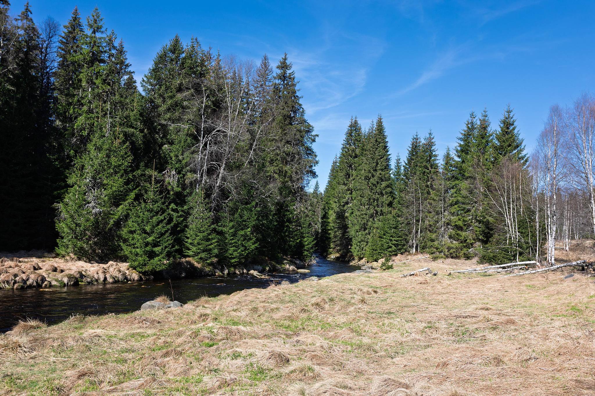 Rivière sinueuse bordée d’arbres.