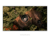 THE ONE - QUIET ICONS - "The Point" - LIMITED EDITION 5 of 5
