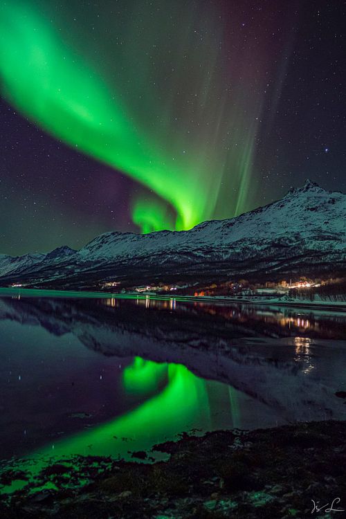 Aurora Magic
