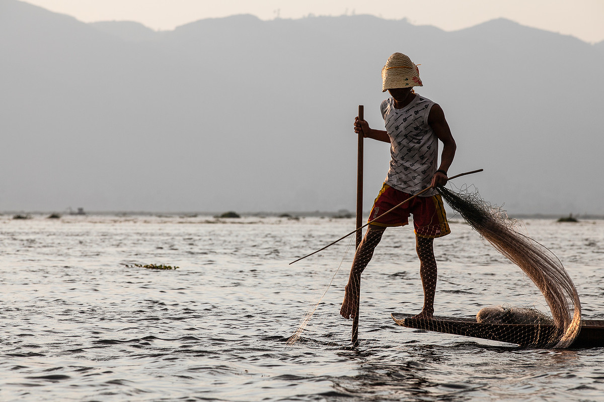 The curve of the net introduces harmony and changes how the photo feels.