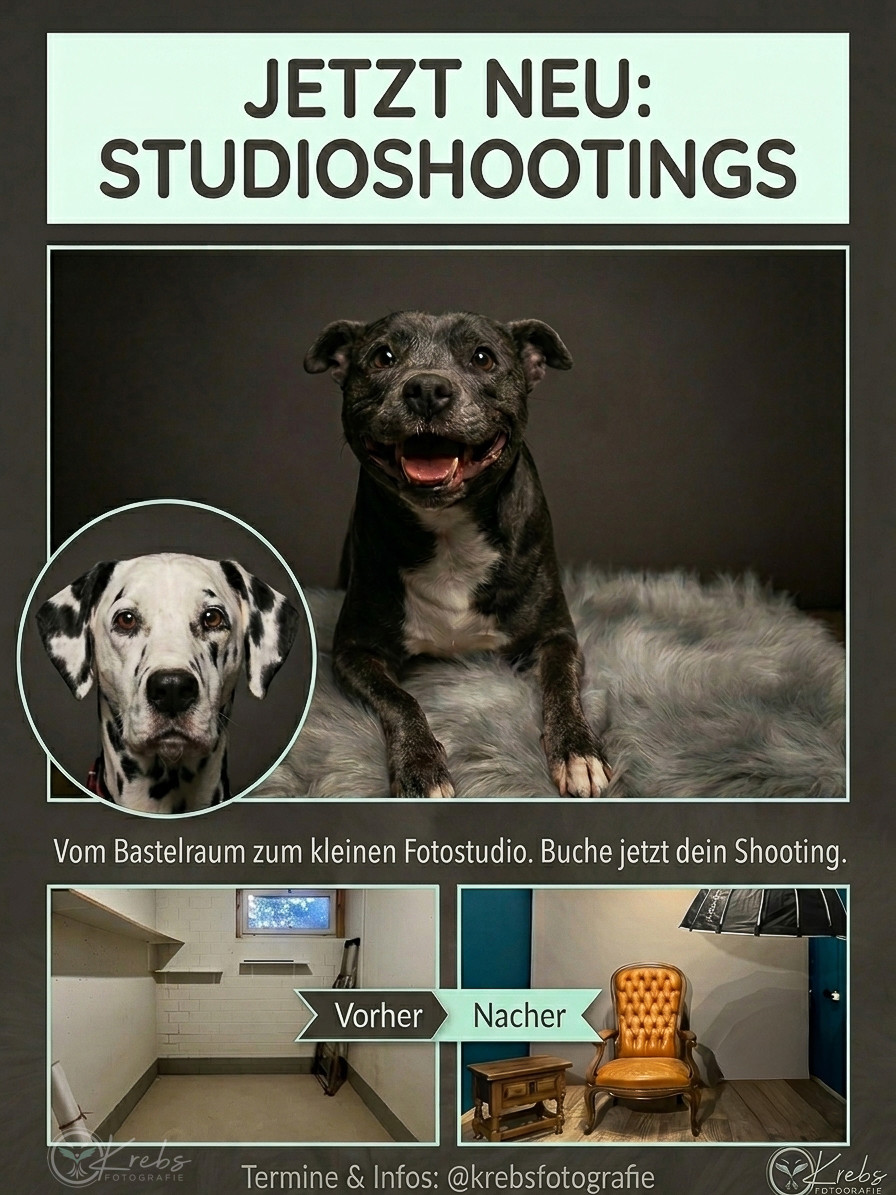 Shooting