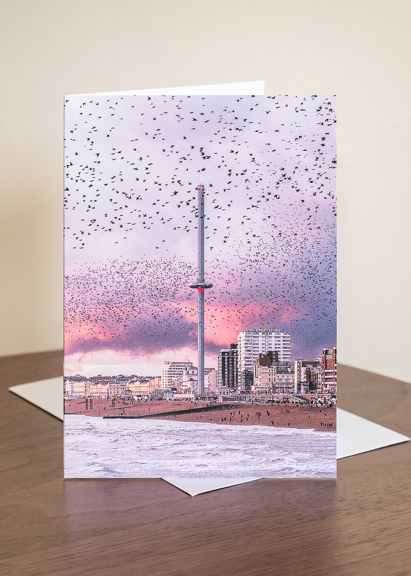 Brighton Starling Murmuration Greeting Cards (6 pack)