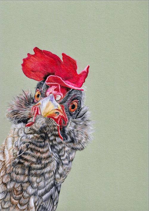 Chicken With Attitude