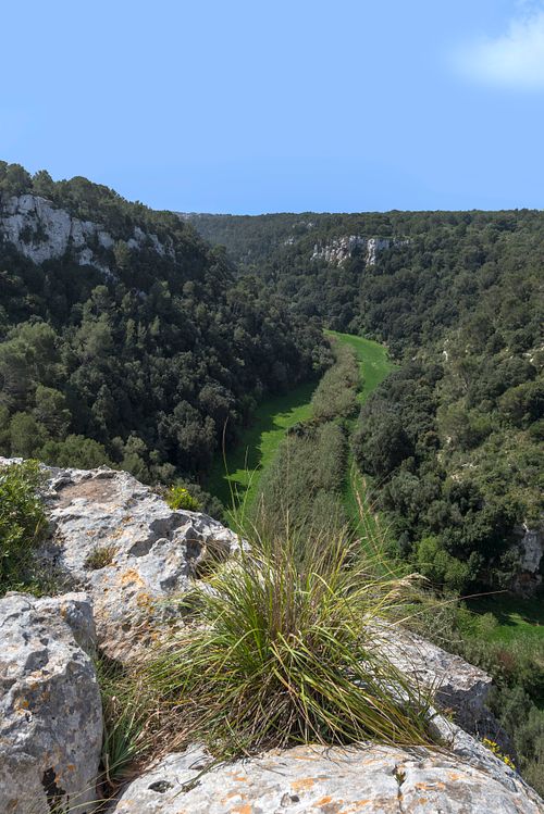 Vue panoramique sur la vallée et les falaises depuis la finca Son Fonoll à Minorque. Photographie par Nicolas Karadimos.