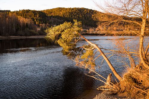 An der Drammenselva