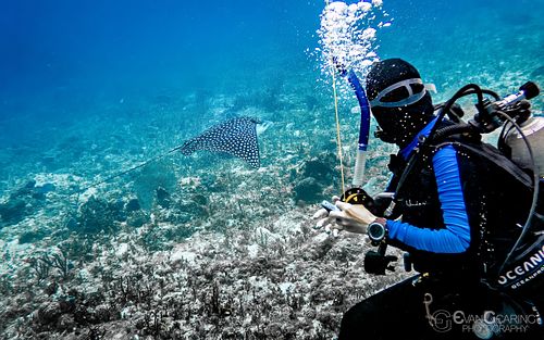 Andrea and Eagle Ray