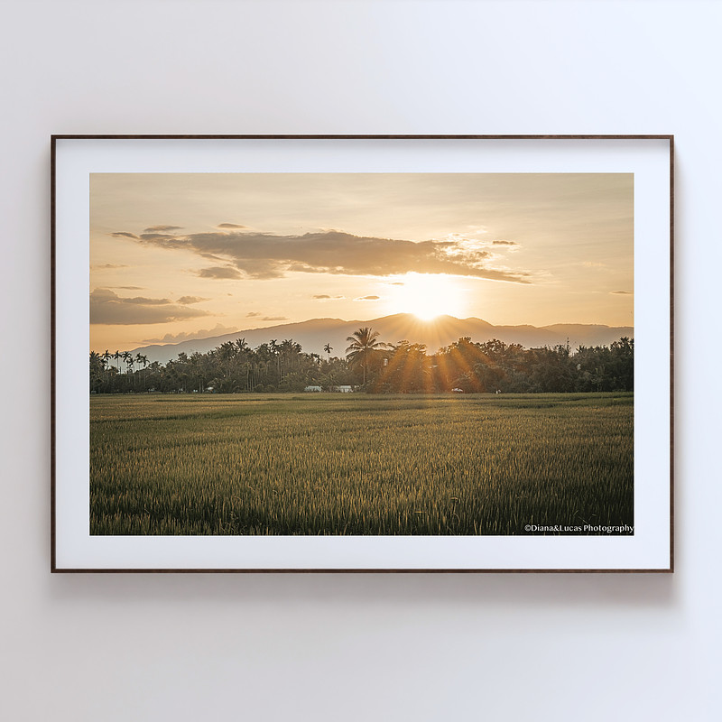 THE ONE - WILDLIFE & NATURE - "The Last Rays" - LIMITED EDITION 5 of 5