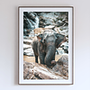 COLLECTION - GIANTS OF THE LAND VERTICAL - "The Coil" - LIMITED EDITION 9 of 10