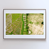 THE ONE - AERIAL PRINTS - "The Middle One" - LIMITED EDITION 5 of 5