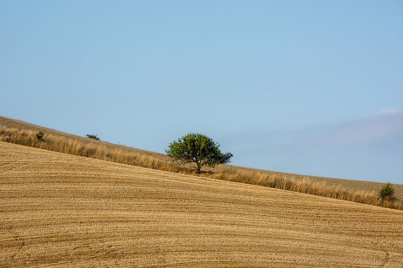 Sicilia