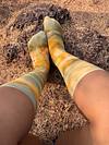 Golden Hour Crew Socks