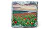 Slate Coaster - Coastal Poppies