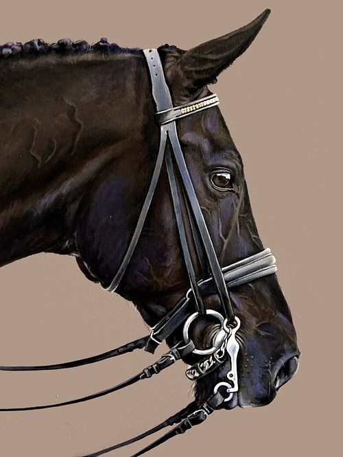 Colorful horse portrait painting capturing strength and expression