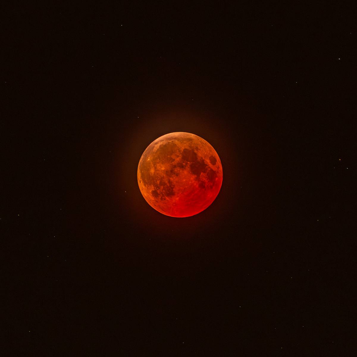 Blood Moon Total Lunar Eclipse &ndash; March 14, 2025 Night Sky